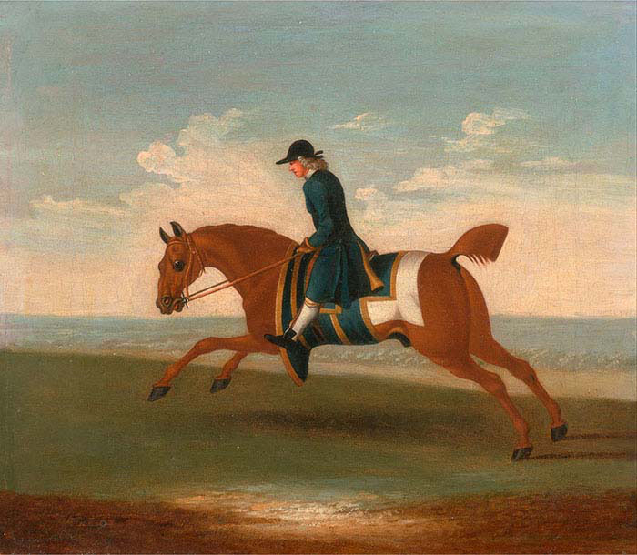 Chestnut Racehorse Exercised by a Trainer in a Blue Coat
